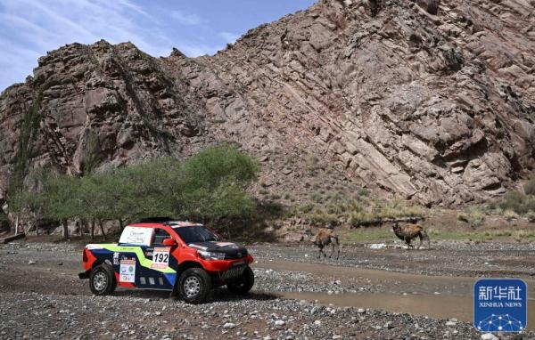 2023年环塔拉力赛第二赛段赛况