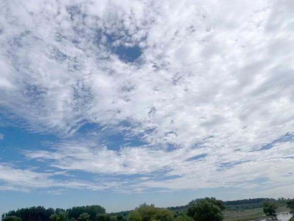 沈阳明天还要升温？下一场雨马上要来！时间是……