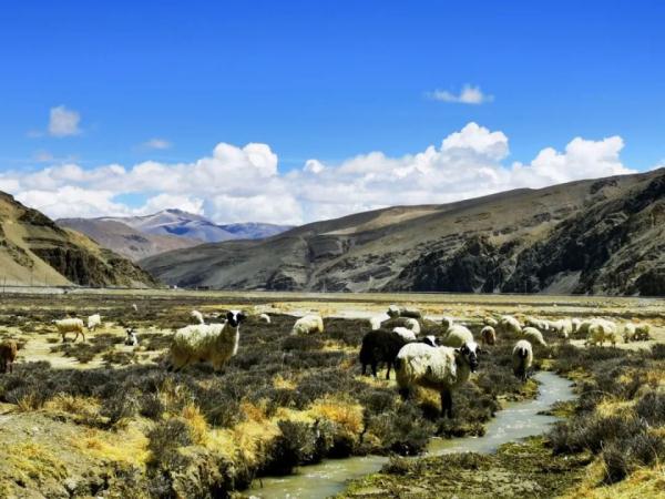 再登珠峰!除了“测身高”,科学家们具体研究什么? 再登珠峰!除了“测身高”,科学家们具体研究什么?