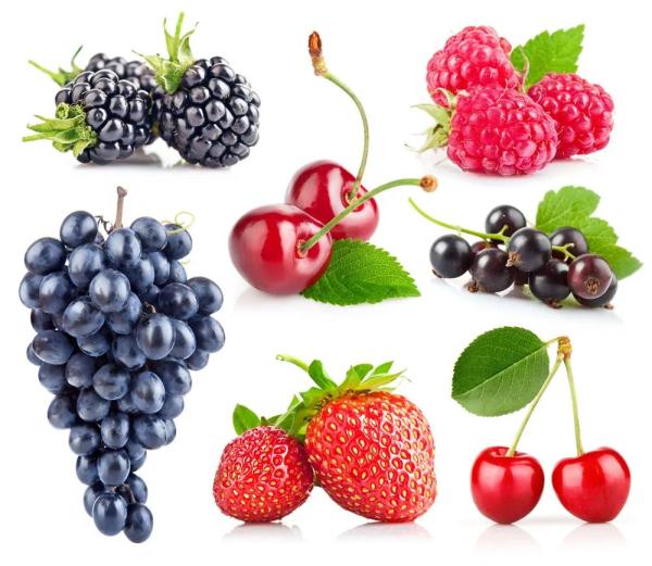 补脑别只吃核桃！这5种食物，才是真正的“补脑高手”