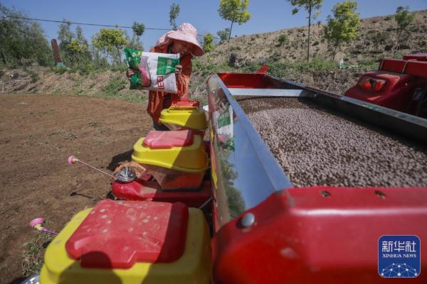 河北遵化:“农田保姆”助农增收 河北遵化:“农田保姆”助农增收