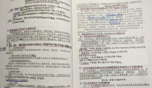 优秀！潍坊一高校同宿舍6人考研成功，颜值爆表！