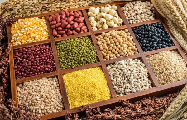 补脑别只吃核桃！这5种食物，才是真正的“补脑高手”