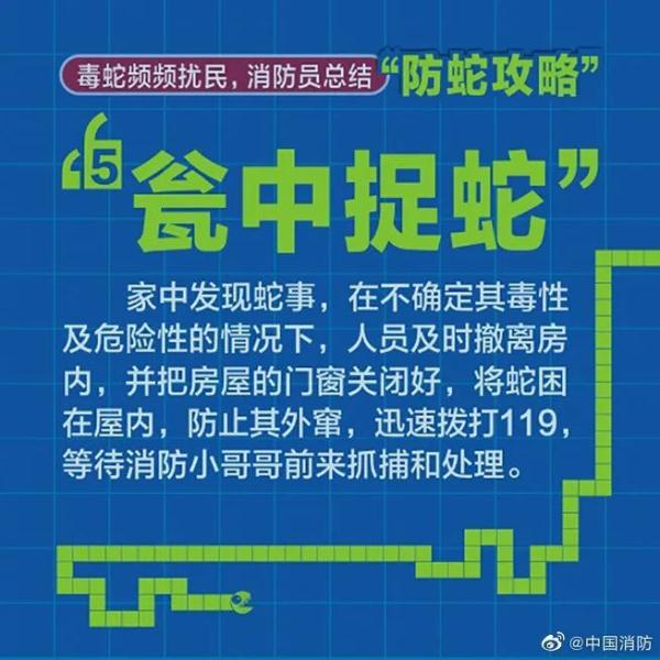 吓人!公园惊现眼镜蛇吓坏游客,园方提醒…… 吓人!公园惊现眼镜蛇吓坏游客,园方提醒……