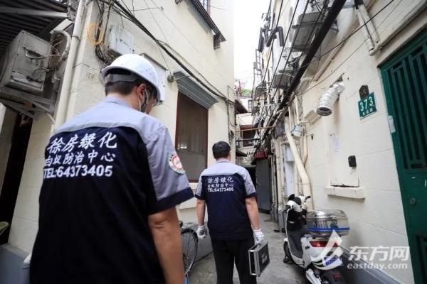 上海明日阳光回归,周日可达30℃以上!白蚁又开始“蠢蠢欲动”,如何处理? 上海明日阳光回归,周日可达30℃以上!白蚁又开始“蠢蠢欲动”,如何处理?