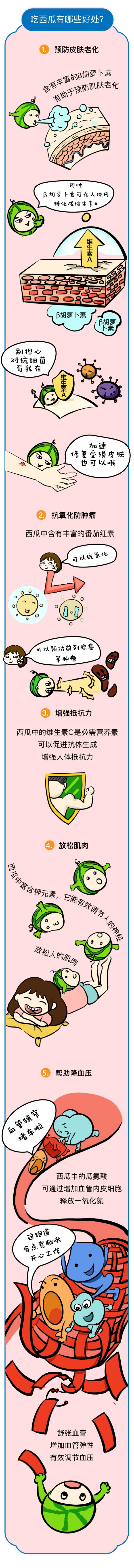 被称为“天然白虎汤”的西瓜好处多多,但这4类人不宜多吃 被称为“天然白虎汤”的西瓜好处多多,但这4类人不宜多吃