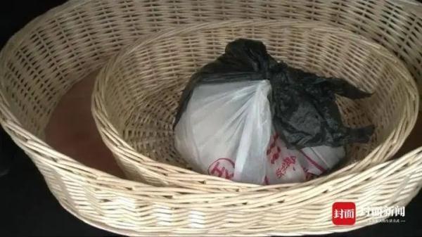 宠物猫被邻居高空扔下活活摔死，警方已调查