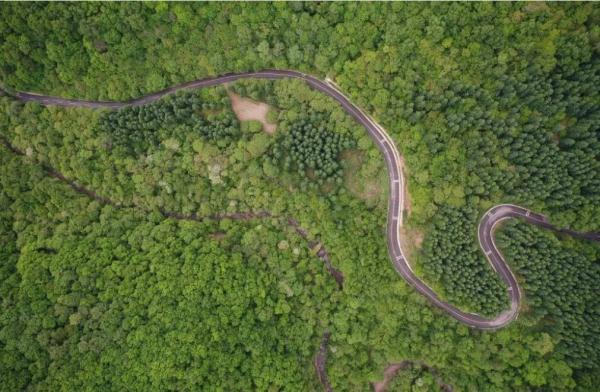 估算30只左右！宁夏六盘山成华北豹栖息乐土