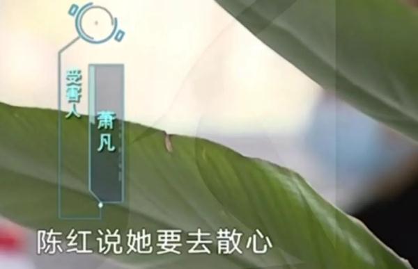 “上进小青年”人设崩塌！脚踏3条船，还骗走10多万元，被女友们送进监狱