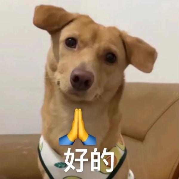 快讯！超强台风“玛娃”今天或登陆！厦门接下来……