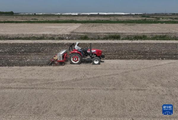 河北唐山:播种玉米大豆正当时 河北唐山:播种玉米大豆正当时