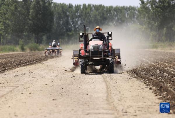河北唐山:播种玉米大豆正当时 河北唐山:播种玉米大豆正当时