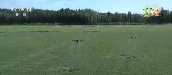 卫星定位、精准田管 植保无人机助力夏粮丰产丰收