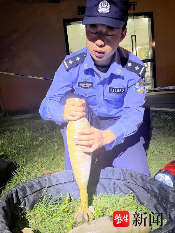 老人拾到两枚炮弹当“宝贝”，保存了10年被家人发现后报警