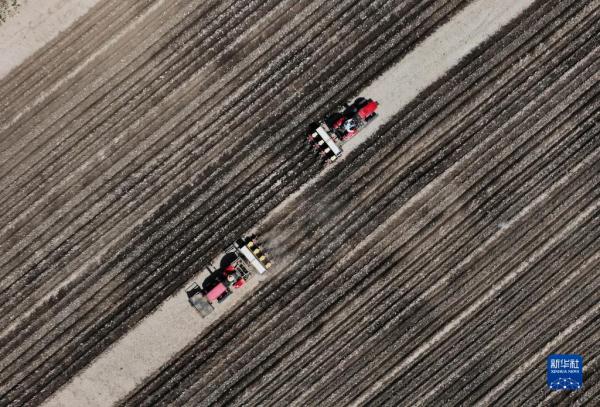河北唐山:播种玉米大豆正当时 河北唐山:播种玉米大豆正当时