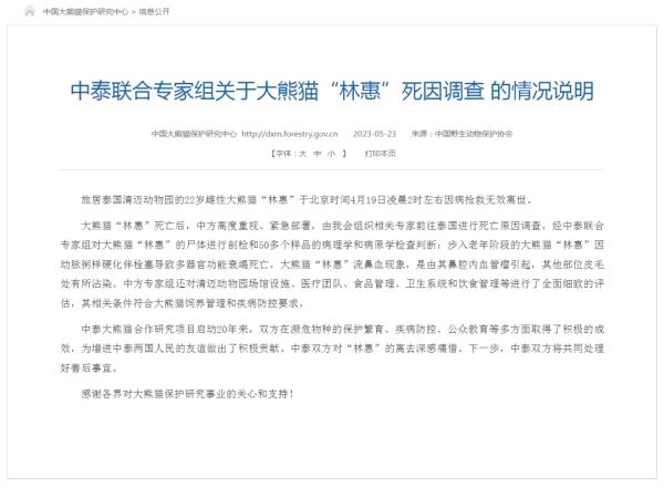 痛惜!大熊猫“林惠”死因公布 痛惜!大熊猫“林惠”死因公布