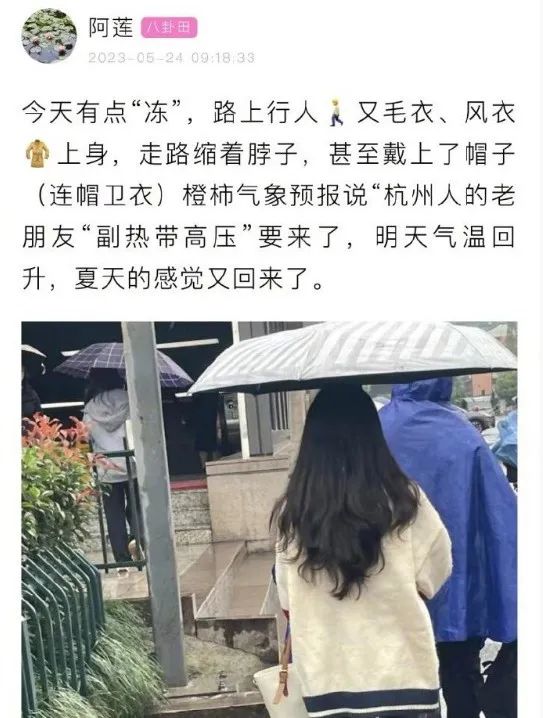 上海明日阳光回归,周日可达30℃以上!白蚁又开始“蠢蠢欲动”,如何处理? 上海明日阳光回归,周日可达30℃以上!白蚁又开始“蠢蠢欲动”,如何处理?