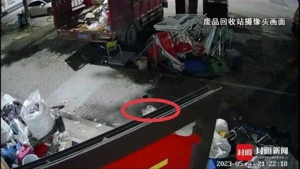 宠物猫被邻居高空扔下活活摔死，警方已调查