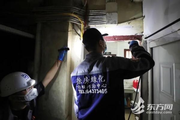 上海明日阳光回归,周日可达30℃以上!白蚁又开始“蠢蠢欲动”,如何处理? 上海明日阳光回归,周日可达30℃以上!白蚁又开始“蠢蠢欲动”,如何处理?