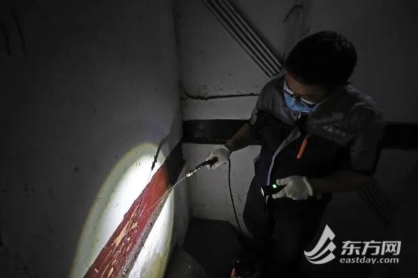 上海明日阳光回归,周日可达30℃以上!白蚁又开始“蠢蠢欲动”,如何处理? 上海明日阳光回归,周日可达30℃以上!白蚁又开始“蠢蠢欲动”,如何处理?