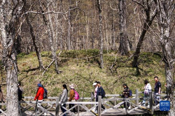 长白山五月人气旺