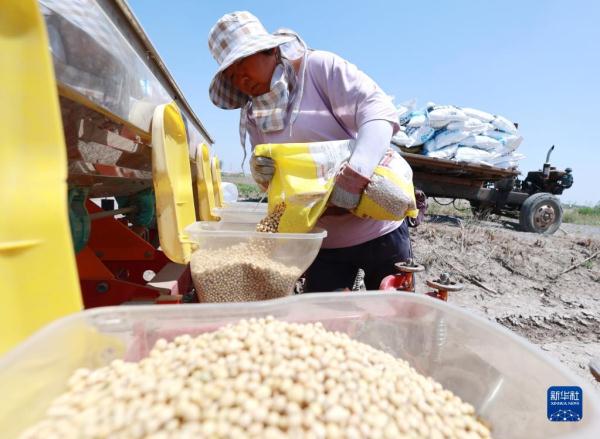 河北唐山:播种玉米大豆正当时 河北唐山:播种玉米大豆正当时