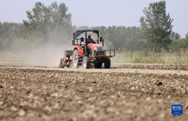 河北唐山:播种玉米大豆正当时 河北唐山:播种玉米大豆正当时