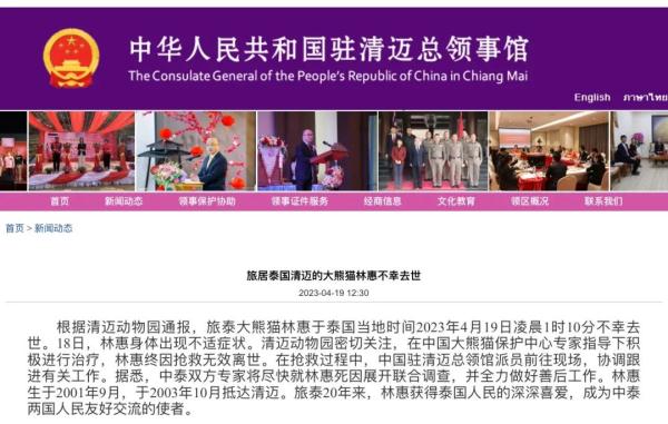 痛惜!大熊猫“林惠”死因公布 痛惜!大熊猫“林惠”死因公布