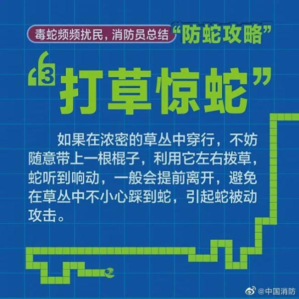 吓人!公园惊现眼镜蛇吓坏游客,园方提醒…… 吓人!公园惊现眼镜蛇吓坏游客,园方提醒……