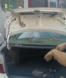 近期高发，现场画面毛骨悚然！多位网友：拍到了