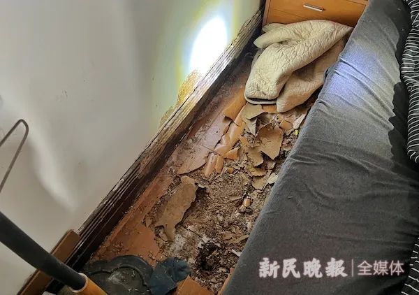 这波声势浩大!令人头皮发麻的它们又来了!自己能处理吗? 这波声势浩大!令人头皮发麻的它们又来了!自己能处理吗?