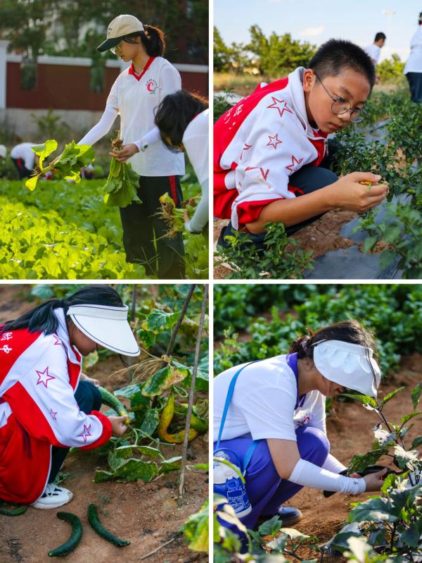 追光|这个中学不一般：运动会比射箭 一个班种一块田