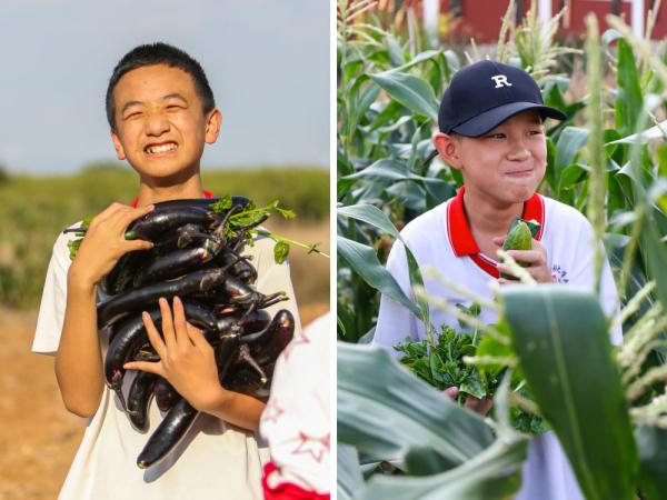 追光|这个中学不一般：运动会比射箭 一个班种一块田