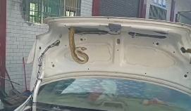 近期高发，现场画面毛骨悚然！多位网友：拍到了