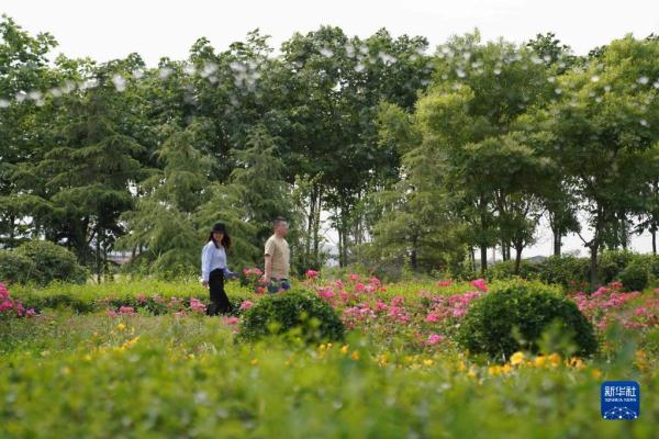 河北沙河：生态优化工程拓展城市绿色空间