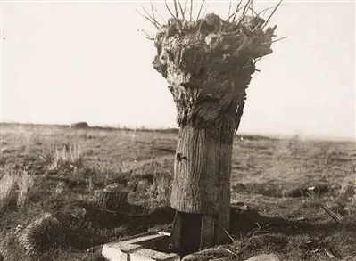 战场魔术师——军事“伪装术”