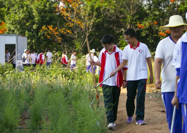 追光|这个中学不一般：运动会比射箭 一个班种一块田