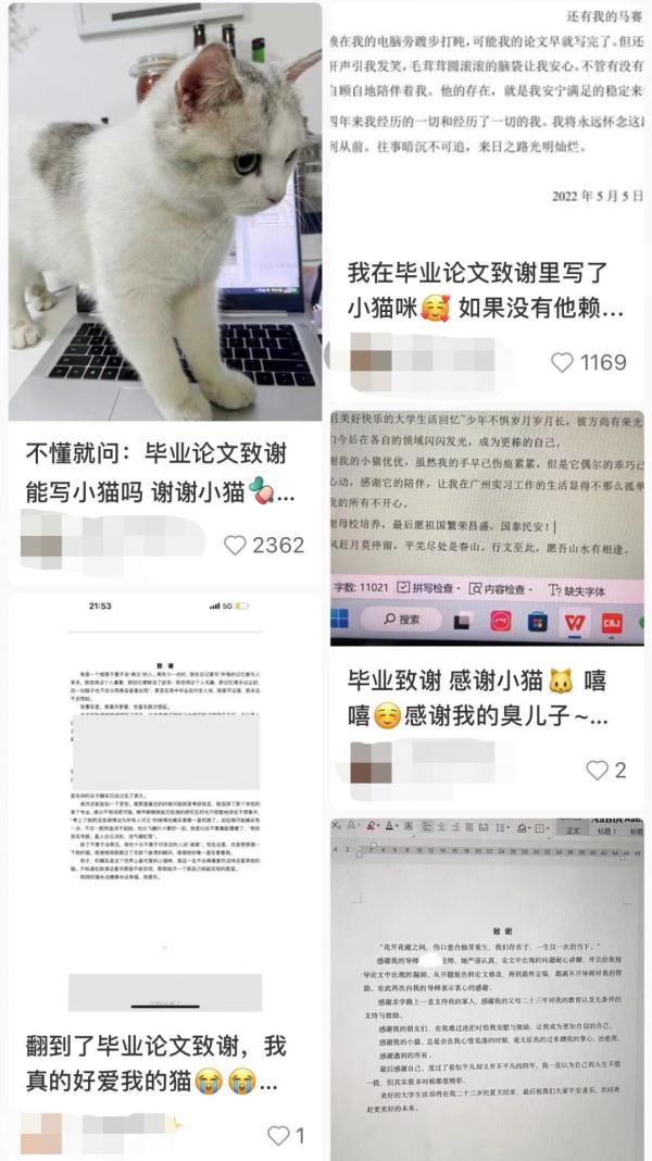 用文言文写致谢的工科生，超酷的！
