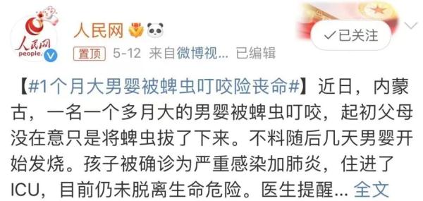 5岁男孩突然发烧全身红斑,是它惹的祸!户外活动千万当心 5岁男孩突然发烧全身红斑,是它惹的祸!户外活动千万当心