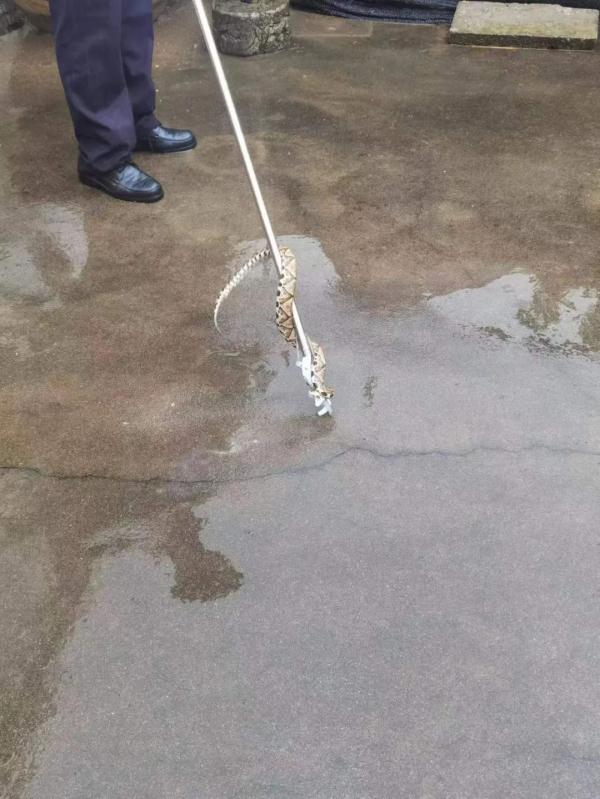 近期高发，现场画面毛骨悚然！多位网友：拍到了