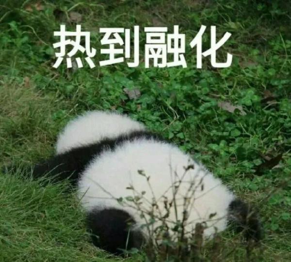 红红火火恍恍惚惚……广式“热辣鸡腿”的天气回来了 红红火火恍恍惚惚……广式“热辣鸡腿”的天气回来了