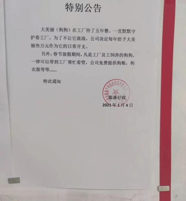 狗子在厂里抓老鼠当模特，月入三千还有工资条！