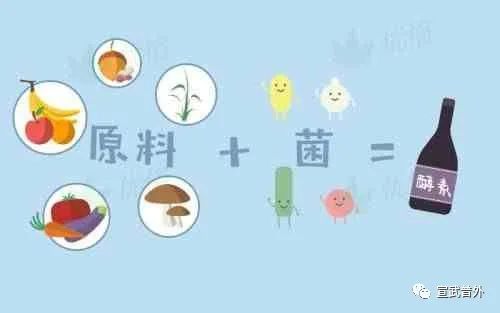 酵素可以减肥吗? 酵素可以减肥吗?