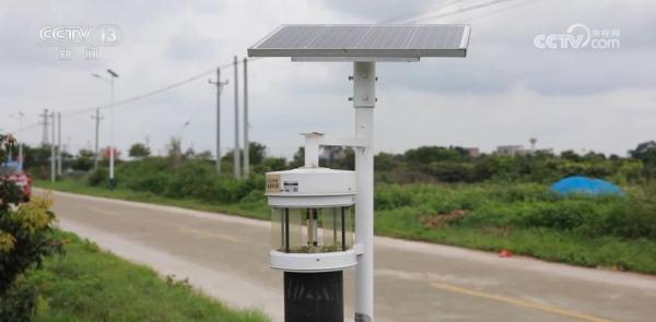 “田头小站”保障荔枝生长全生命周期 助力丰产丰收