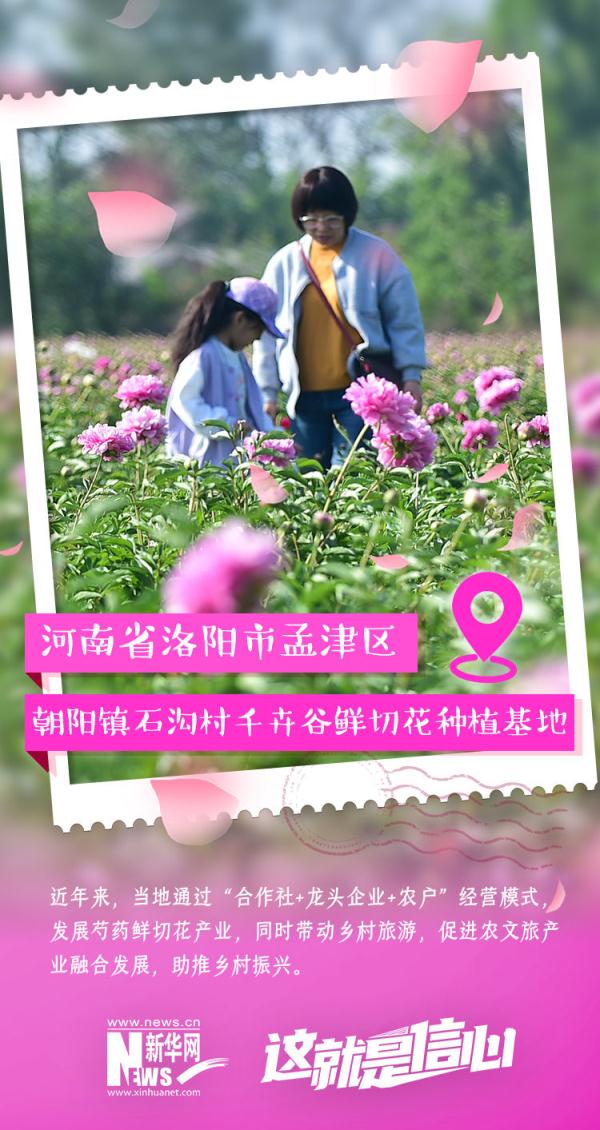 这就是信心｜实现“花样致富” 初夏“花经济”又美又旺！