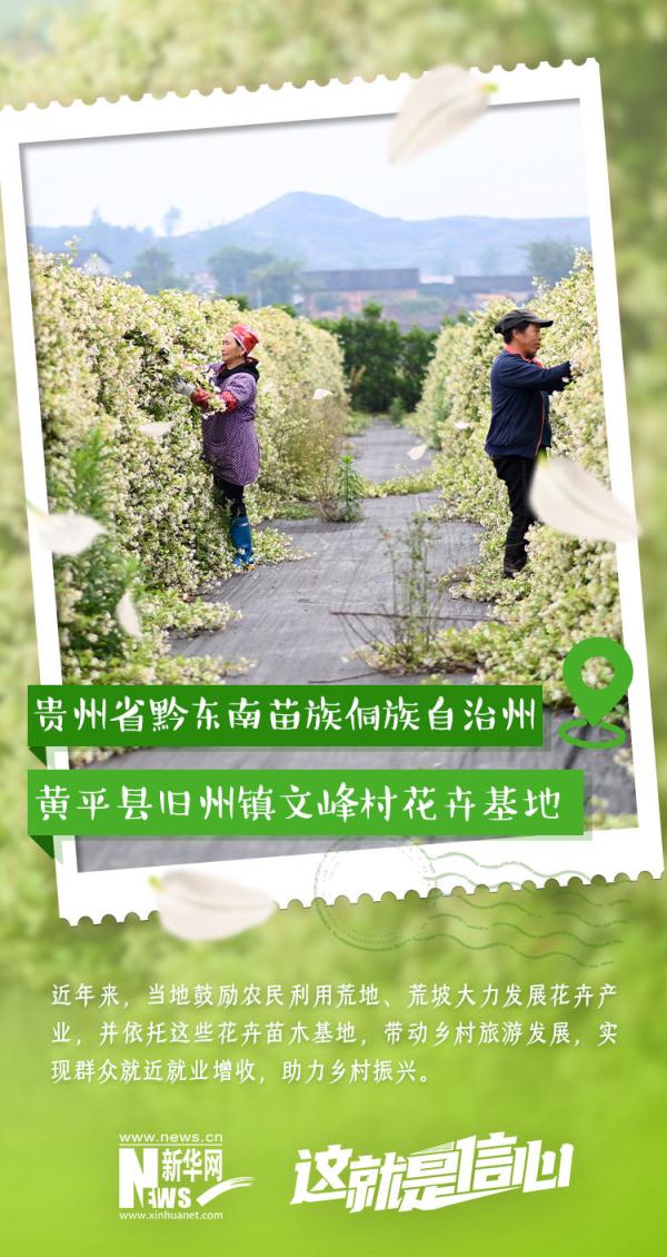 这就是信心｜实现“花样致富” 初夏“花经济”又美又旺！
