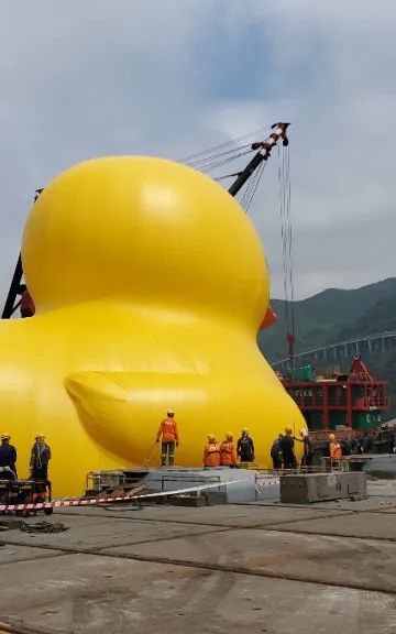 时隔十年!大黄鸭再抵港(单身慎点……) 时隔十年!大黄鸭再抵港(单身慎点……)