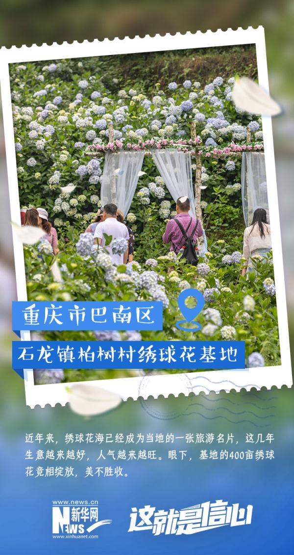 这就是信心｜实现“花样致富” 初夏“花经济”又美又旺！