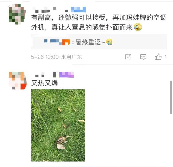 红红火火恍恍惚惚……广式“热辣鸡腿”的天气回来了 红红火火恍恍惚惚……广式“热辣鸡腿”的天气回来了