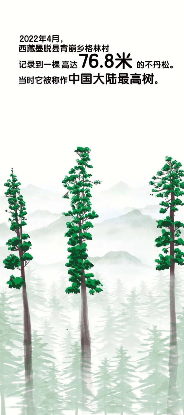 102.3米！刷新亚洲纪录